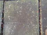 image of grave number 810646